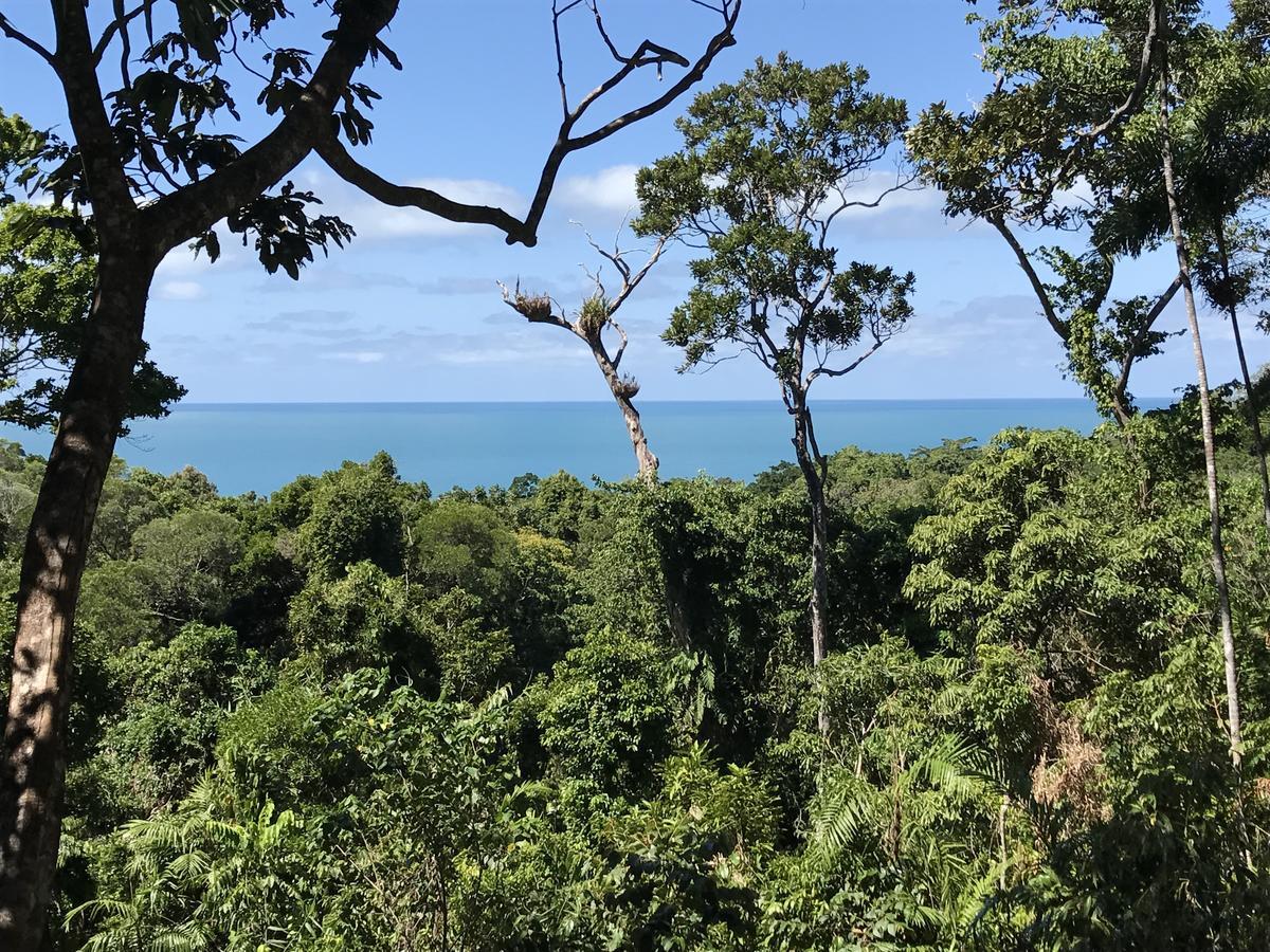 Daintree Magic Holiday House Cow Bay Exterior photo